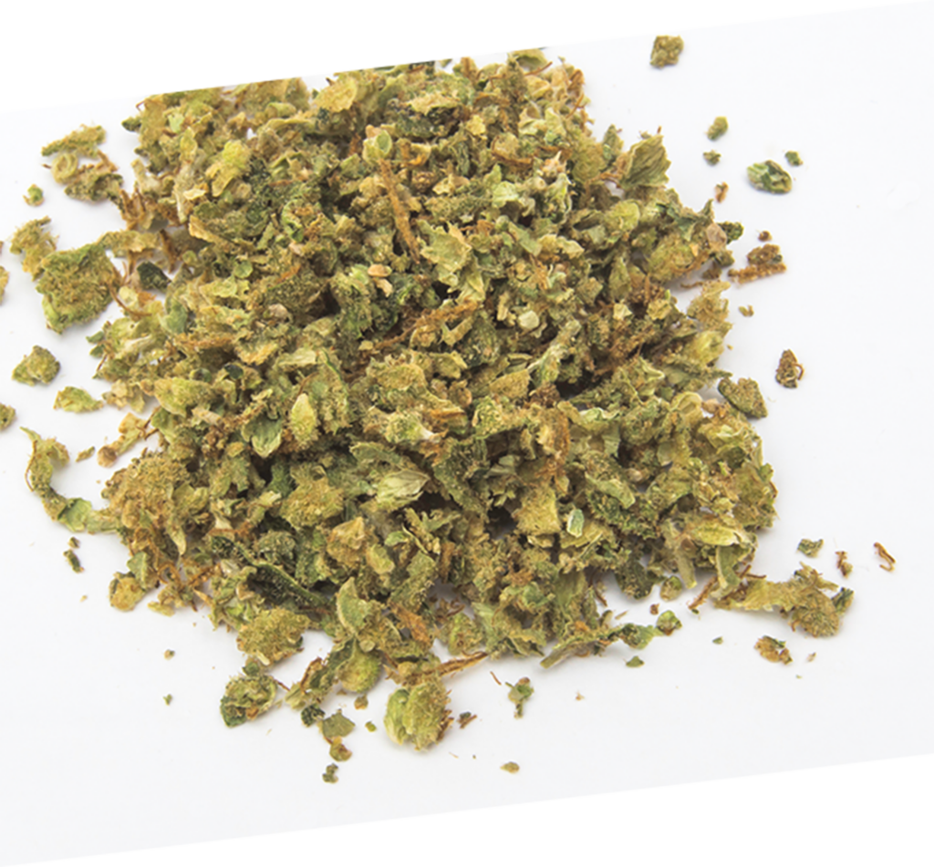 Illustrative image of infused flower